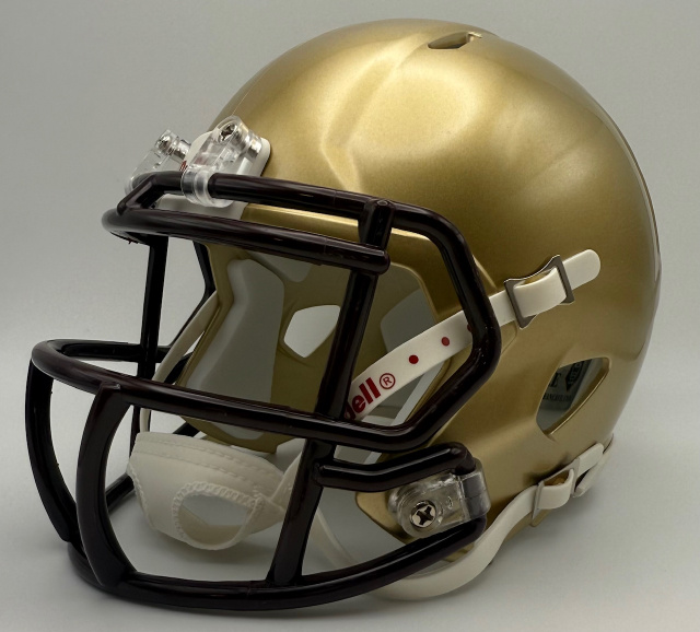 Brookwood Broncos HS 2003-2020 (GA)